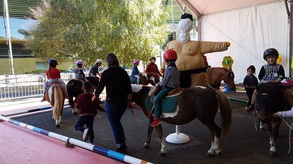 20190912_121941_resultat