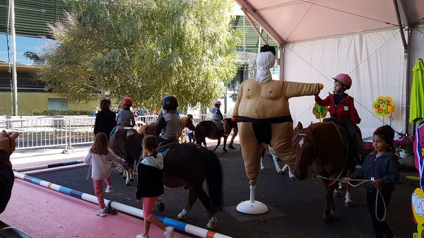 20190912_121945_resultat