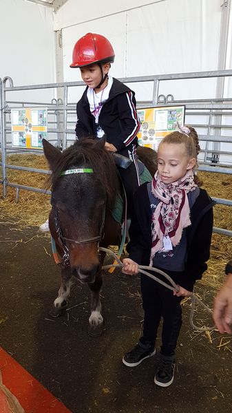 20190912_122753_resultat