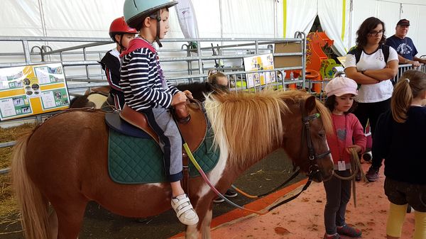 20190912_122818_resultat