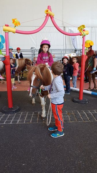 20190912_122859_resultat