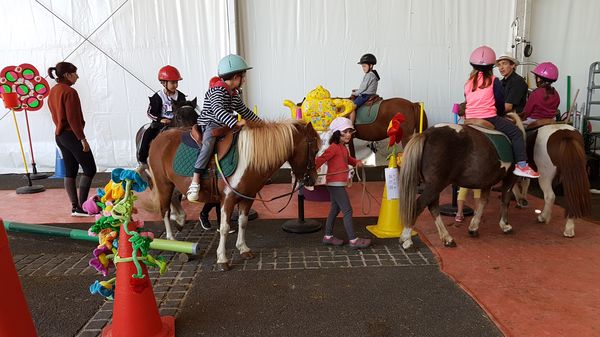 20190912_123058_resultat