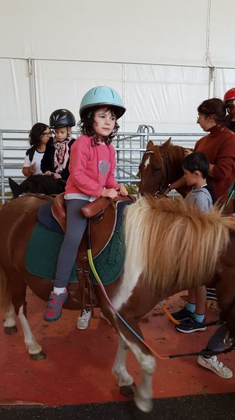 20190912_123418_resultat