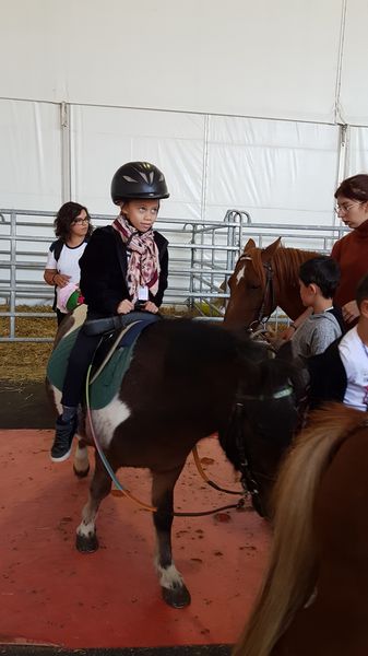 20190912_123420_resultat