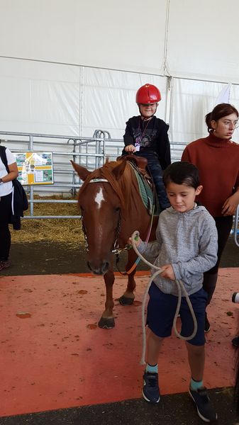 20190912_123423_resultat