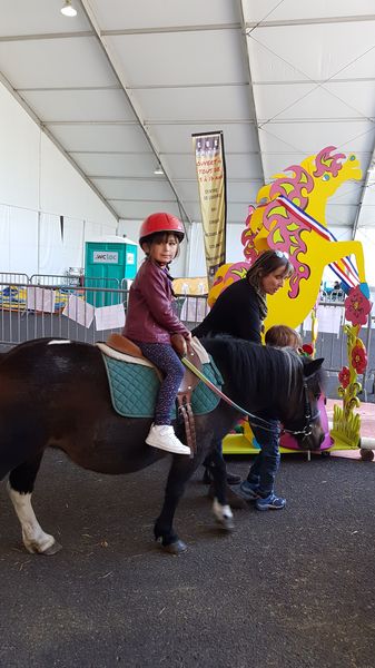 20190912_123445_resultat